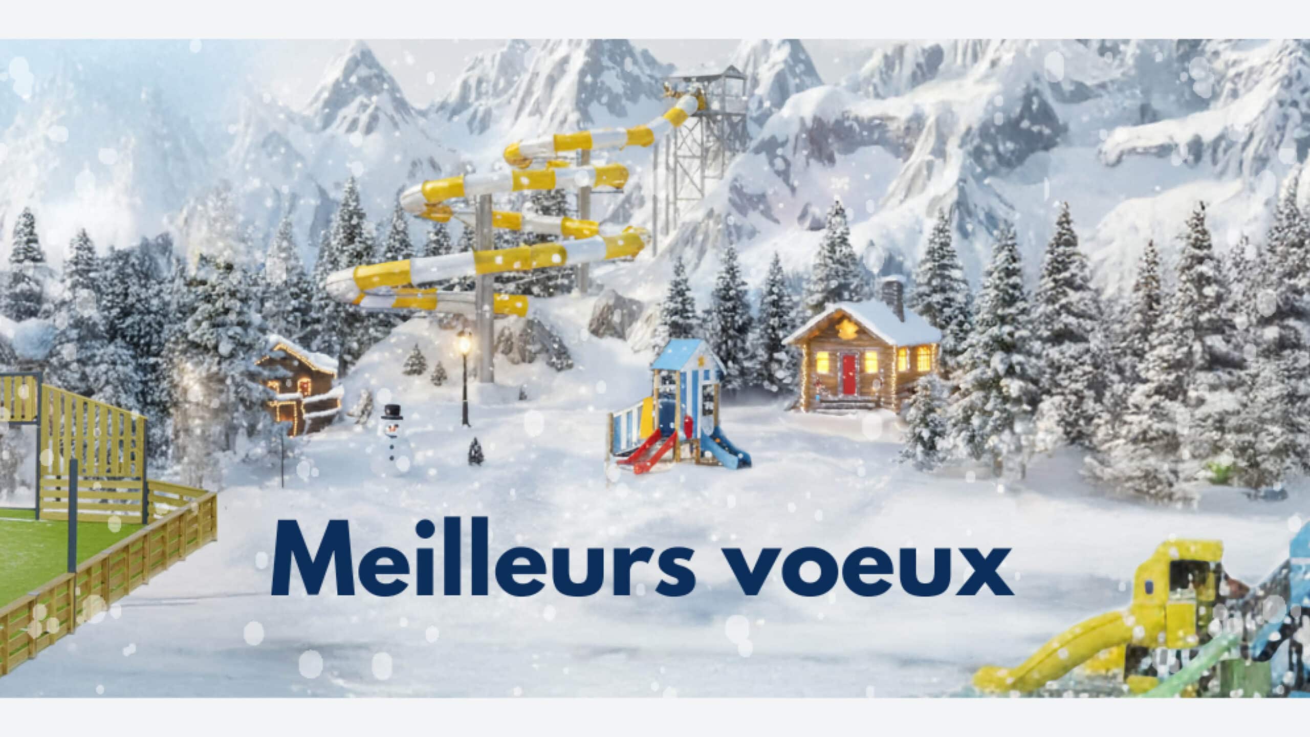 Meilleurs voeux 2026