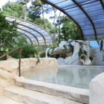 Intégration pierre toboggan aquatique